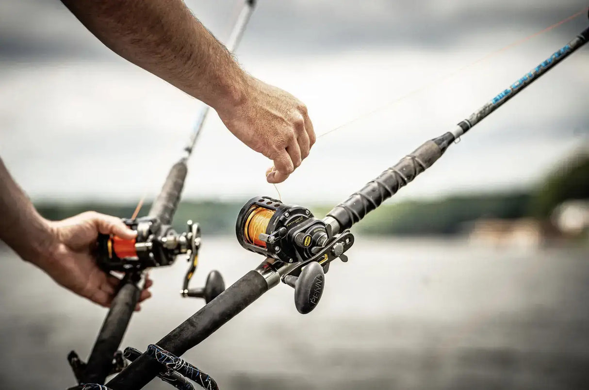 Big Cat Fever Series Rod