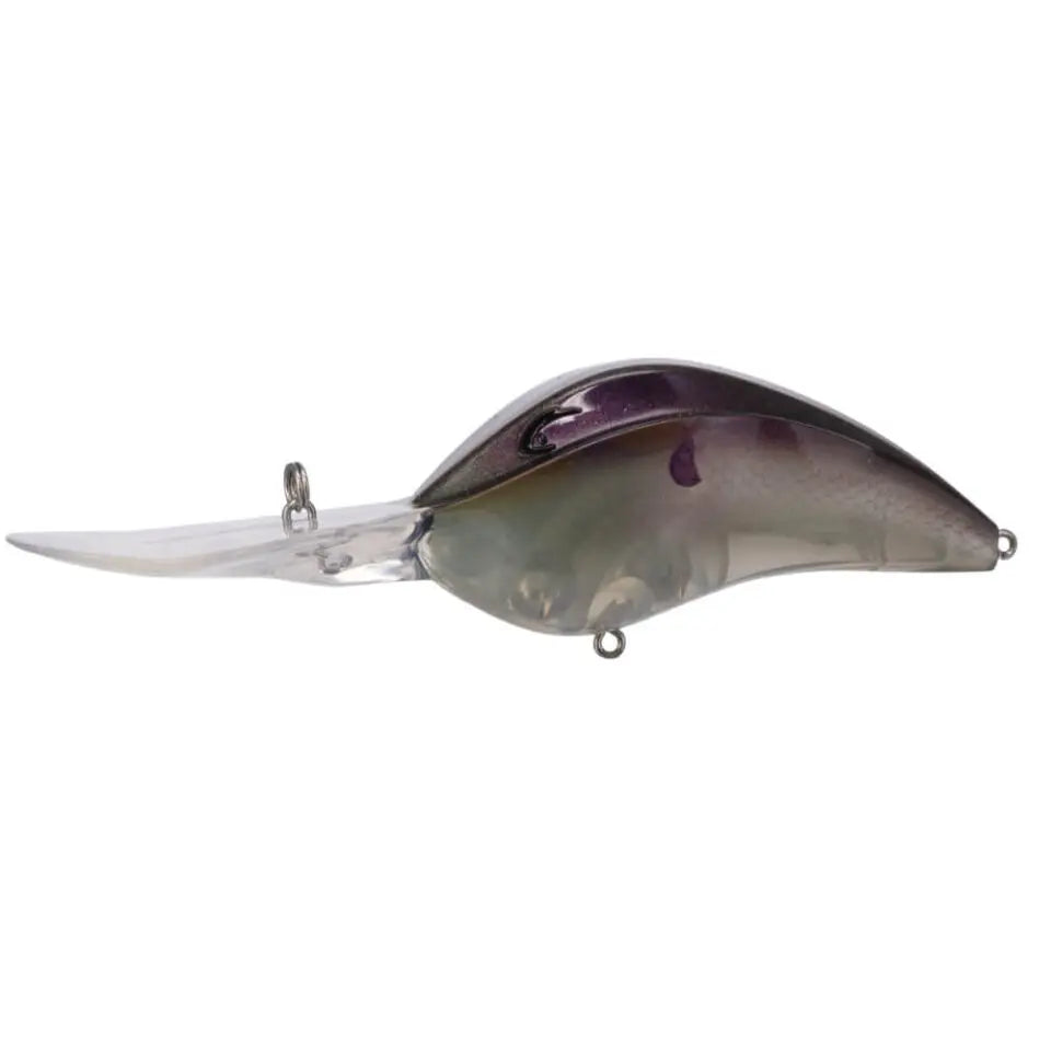 Bill Lewis DR24 Deep Range Crankbait