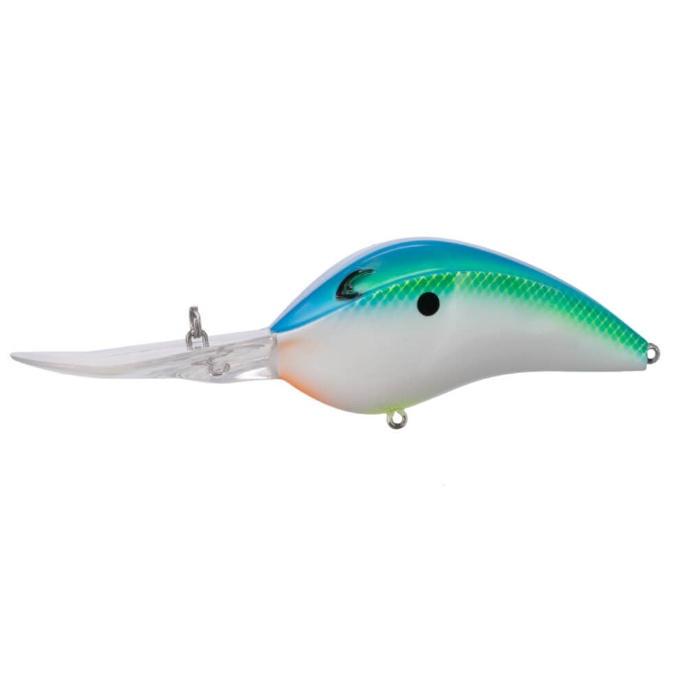 Bill Lewis DR24 Deep Range Crankbait