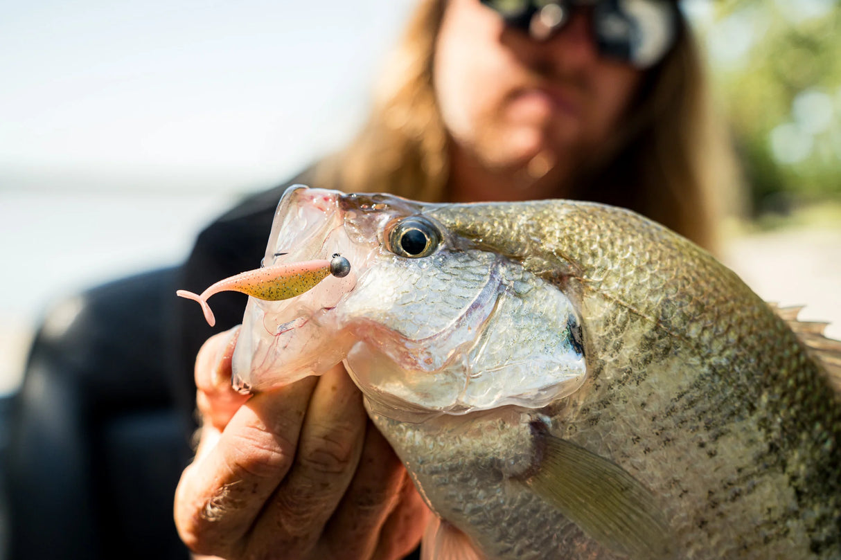 6th Sense Frequency Minnow 2.0
