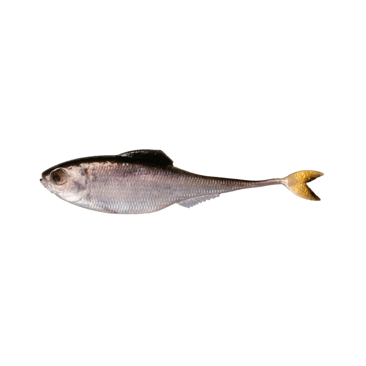 6th Sense Fiction Shad
