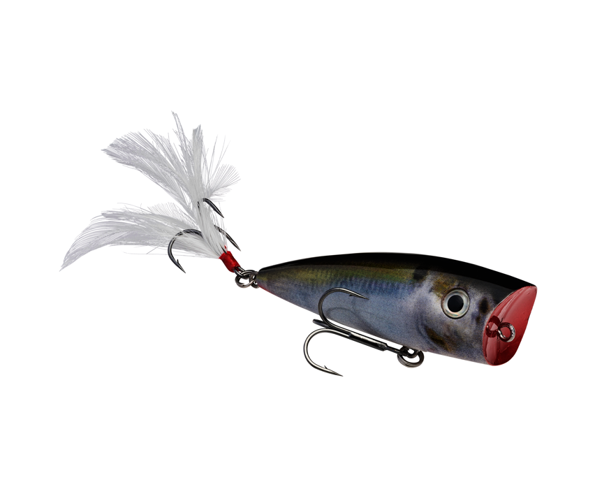 Strike King KVD Splash Topwater