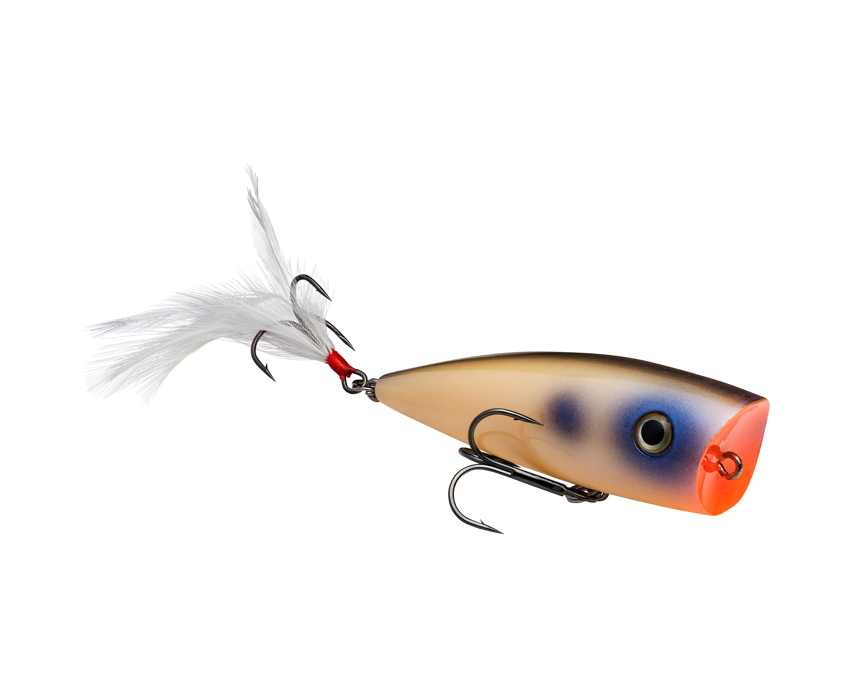 Strike King KVD Splash Topwater