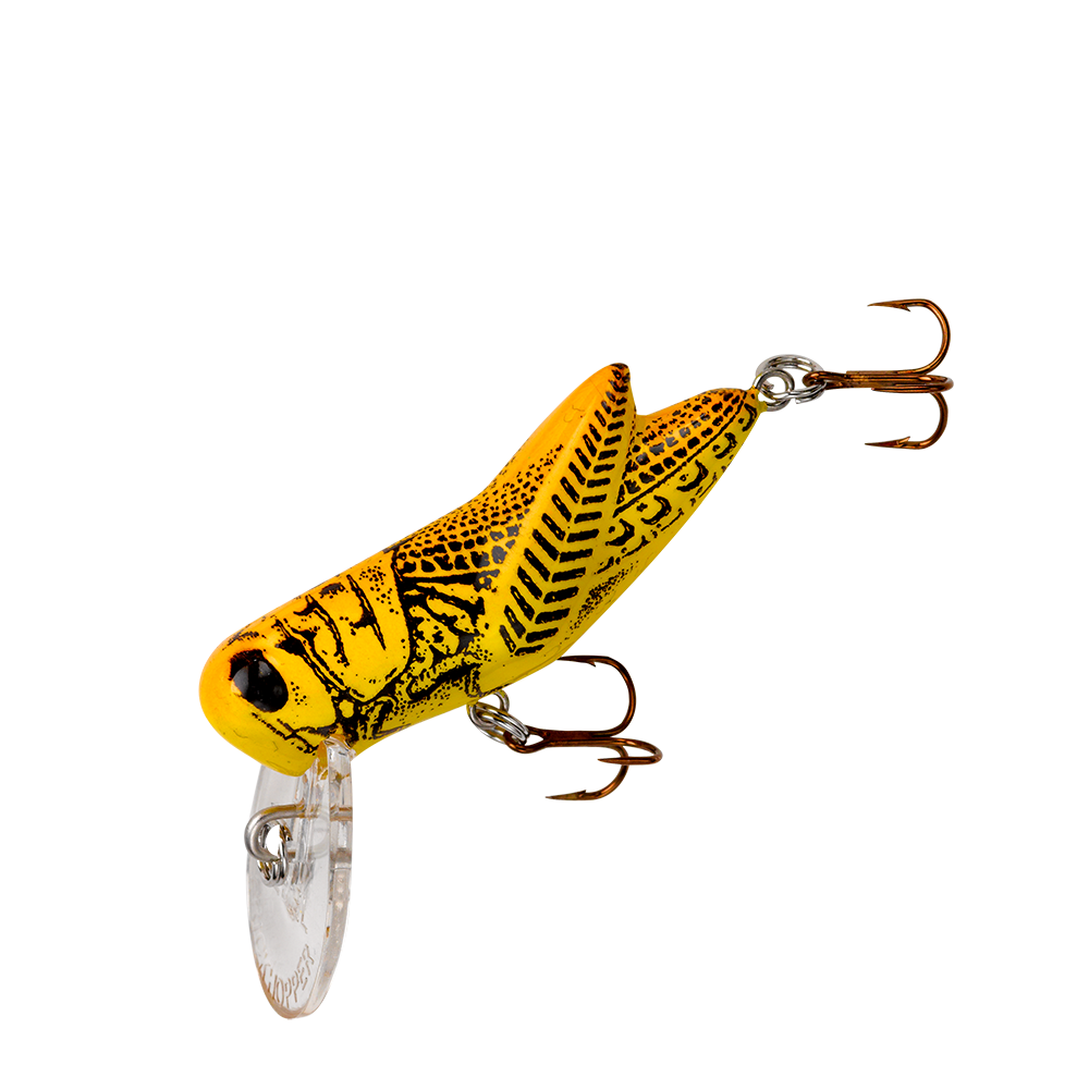 Rebel Crickethopper