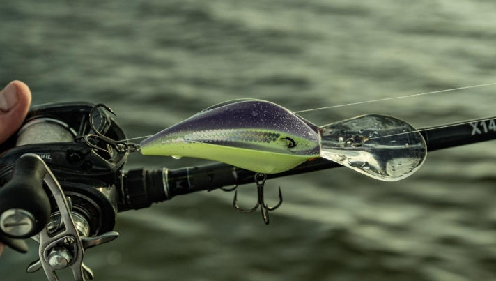 Bill Lewis DR24 Deep Range Crankbait