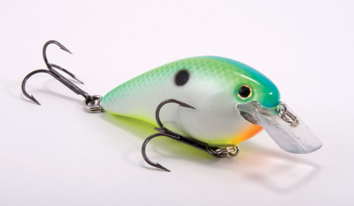 Strike King KVD 1.5 Squarebill Crankbait