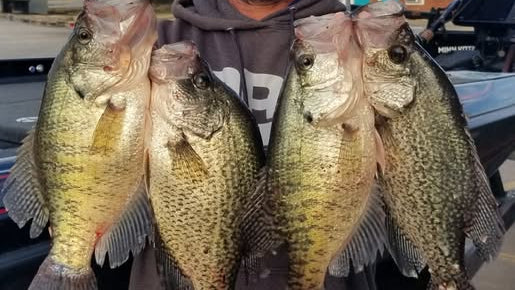 hugo lake crappie fishing filling the boat