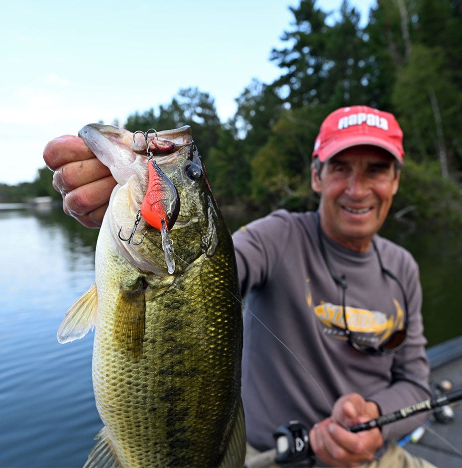 Rapala DT 4 Crankbait