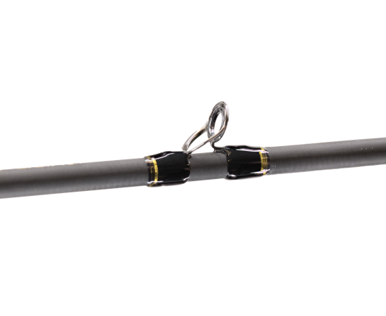Team Lew's Elite Series Casting Rod