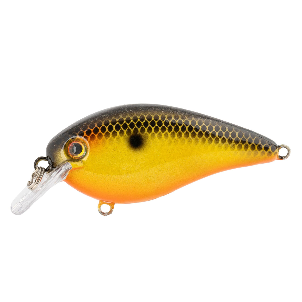 Strike King KVD Elite 1.5 Squarebill
