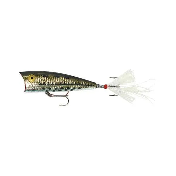 Rebel Teeny Pop-R Topwater