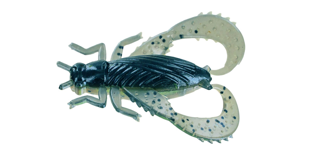 Big Bite Baits Bug Series Cricket
