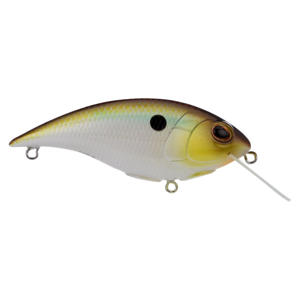 Berkley Shallow Money Badger Squarebill Crankbait