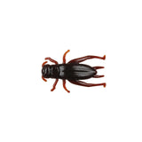 Berkley Gulp! Cricket