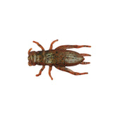 Berkley Gulp! Cricket