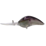 Bill Lewis DR24 Deep Range Crankbait