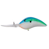 Bill Lewis DR24 Deep Range Crankbait