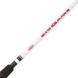 Berkley Big Game Spinning Rod