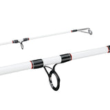 Berkley Big Game Spinning Rod