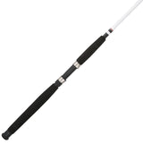 Berkley Big Game Spinning Rod