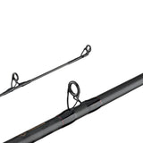 Berkley Lightning Rod Casting Rod