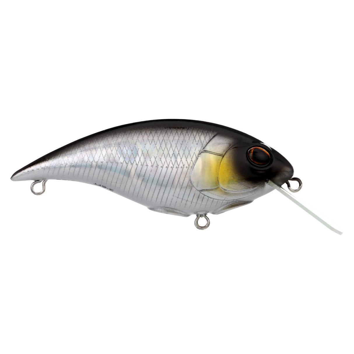 Berkley Shallow Money Badger Squarebill Crankbait