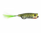 Snag Proof Zoo Pop Frog Hollow Body Frog