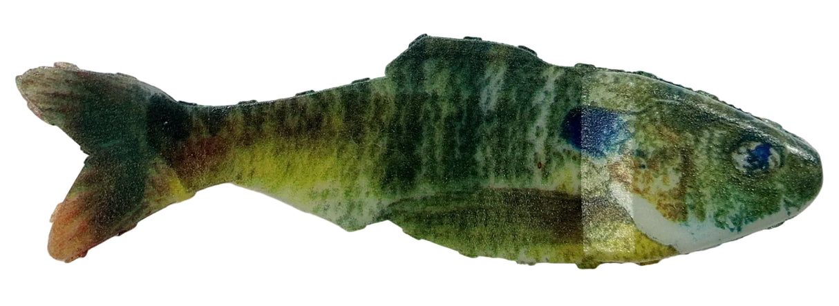 Game Changer Dancin' Shad Soft Swimbait