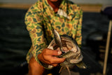 6th Sense Panorama Swimbait