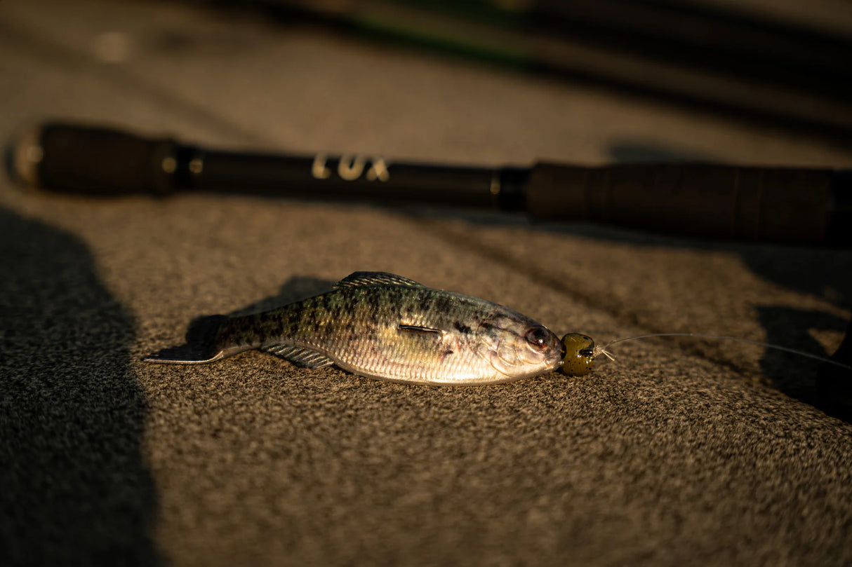 6th Sense Panorama Swimbait