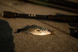 6th Sense Panorama Swimbait