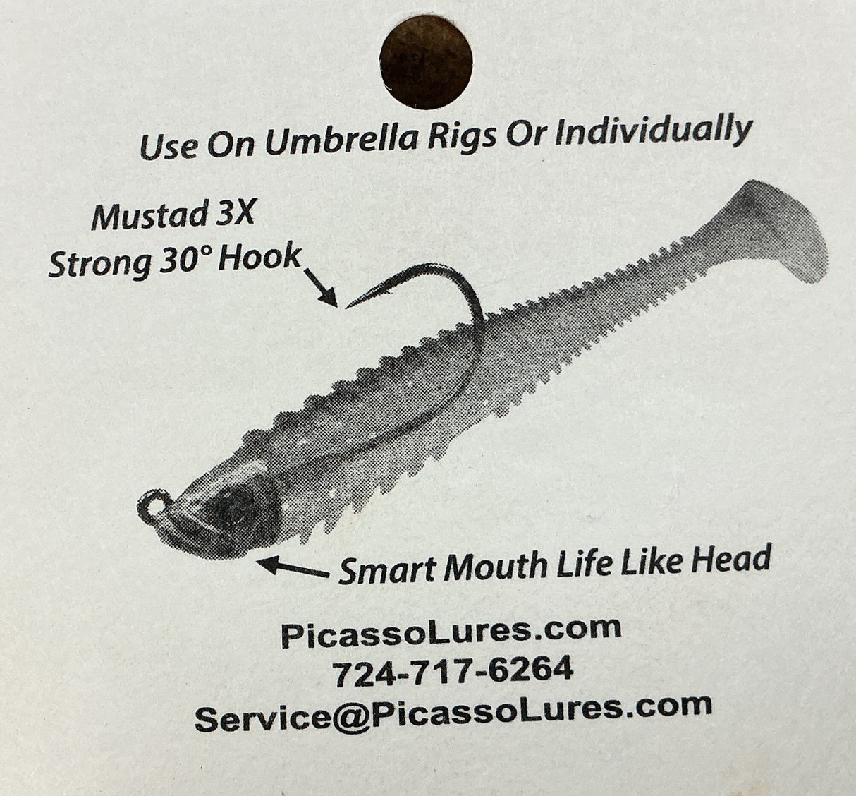 Picasso Smart Mouth Fish Head 5pk