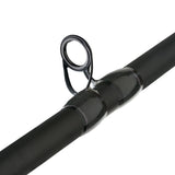 Fenwick Eagle Bass Rod