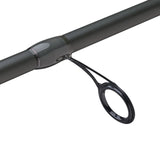 Fenwick Eagle Bass Rod