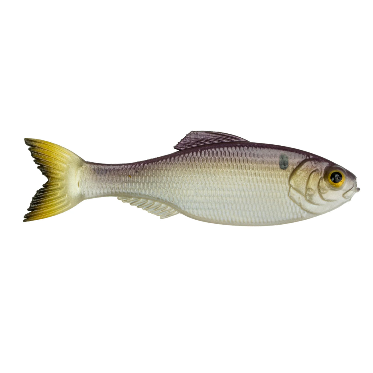 6th Sense Panorama Swimbait