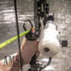 AMS Bowfishing Tidal Wave Rest