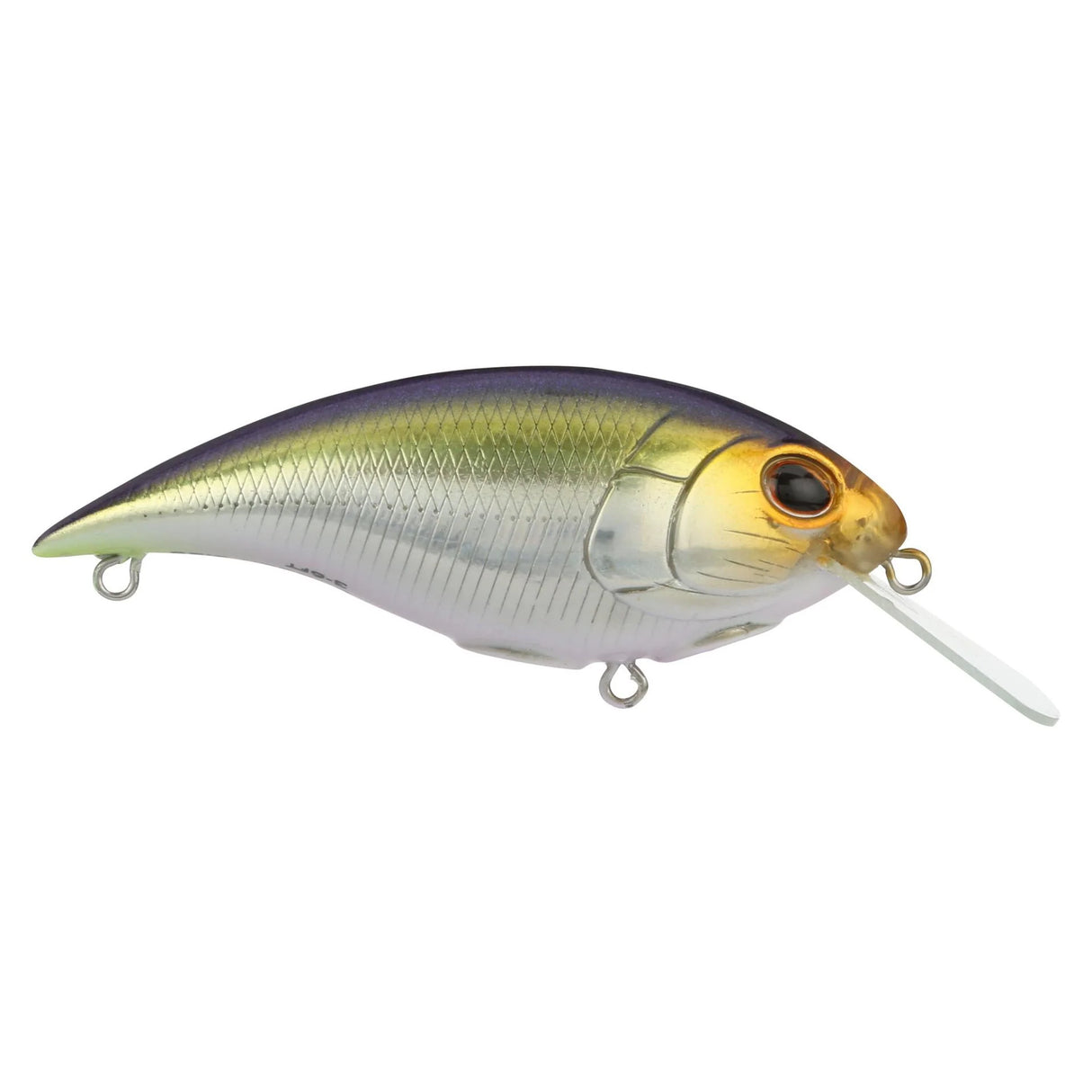 Berkley Shallow Money Badger Squarebill Crankbait