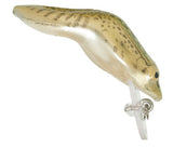 Rebel Wee-Frog Wake Bait