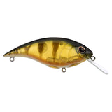 Berkley Shallow Money Badger Squarebill Crankbait