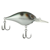 Berkley Dime 6 Crankbait