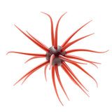 Hideup Coike Creature Bait
