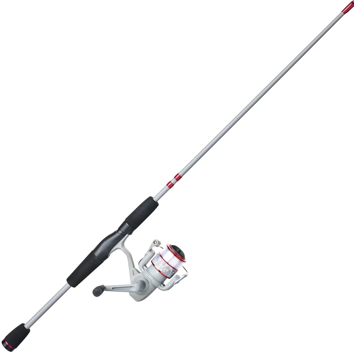 Shakespeare Cirrus Spinning Combo