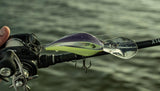 Bill Lewis DR24 Deep Range Crankbait