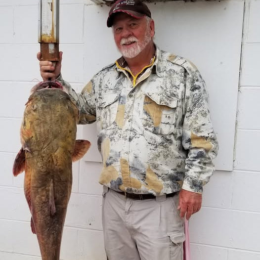 large catfish from hugo lake just north of brannans bass shop