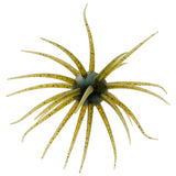 Hideup Coike Creature Bait