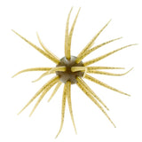 Hideup Coike Creature Bait