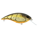Berkley Shallow Money Badger Squarebill Crankbait