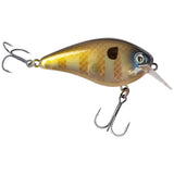 Strike King KVD 1.5 Squarebill Hard Knock Crankbait
