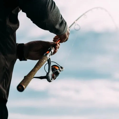 Whisker Seeker Chad Ferguson Signature Series Catfishing Rod