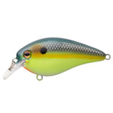 Strike King KVD Elite 1.5 Squarebill